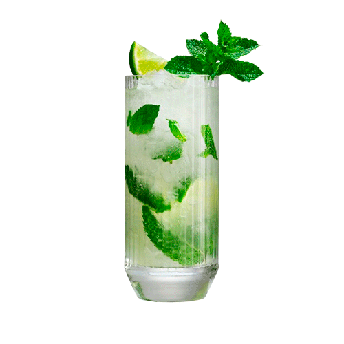 Mojito